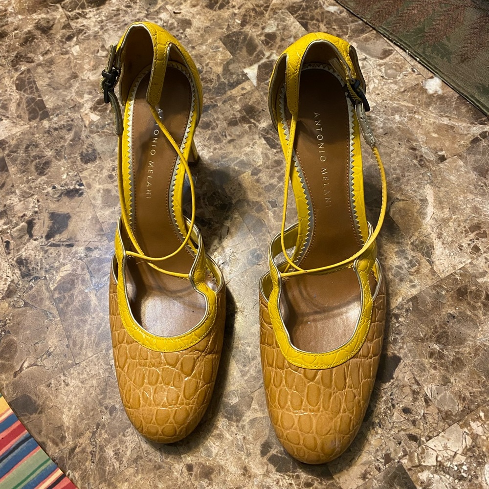 EUC ANTONIO MELANI Pumps 🌹